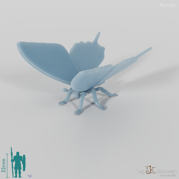 Schmetterling - Schmetterling 01