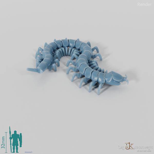 Tausendfüßer - Hundertfüßer 01