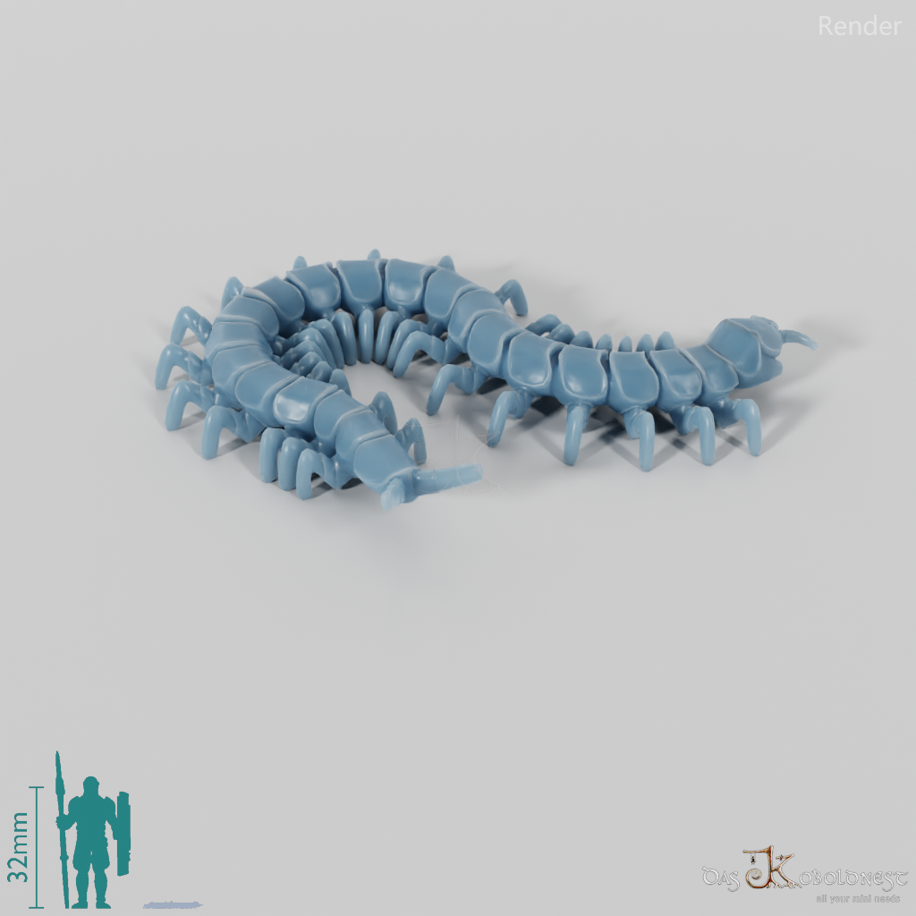 Tausendfüßer - Hundertfüßer 01