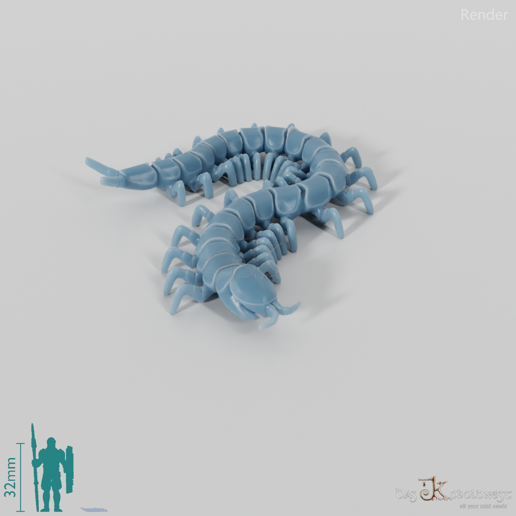 Tausendfüßer - Hundertfüßer 01