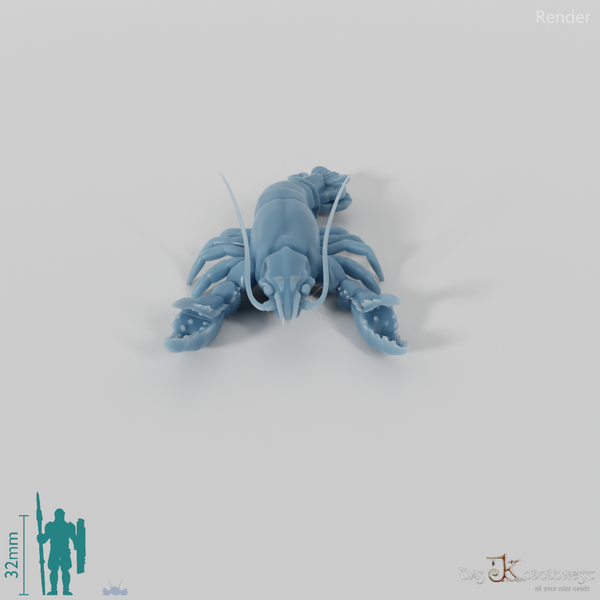 Krebs - Flusskrebs 01