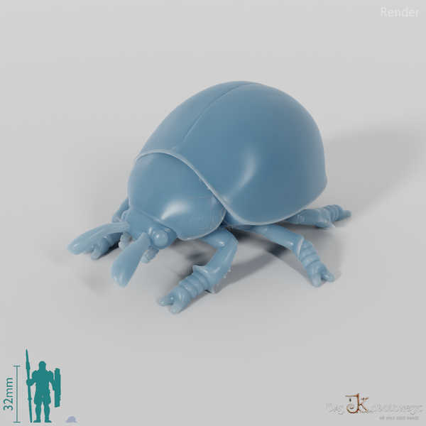 Käfer - Marienkäfer 01