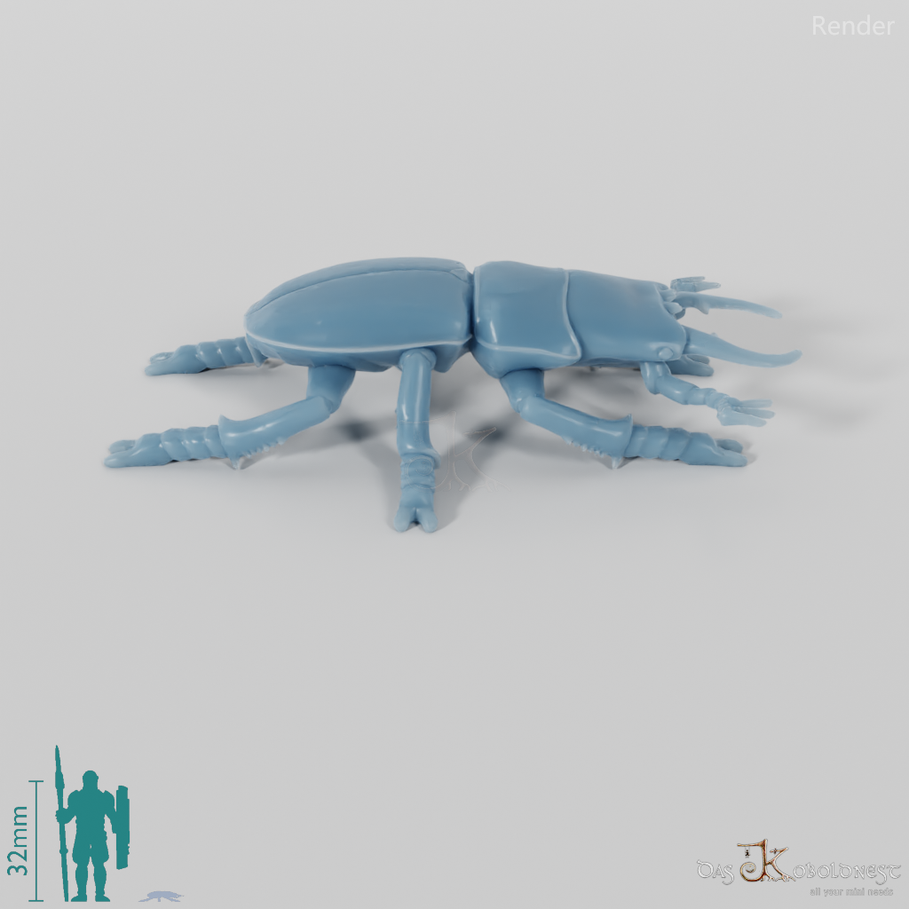 Käfer - Hirschkäfer 01