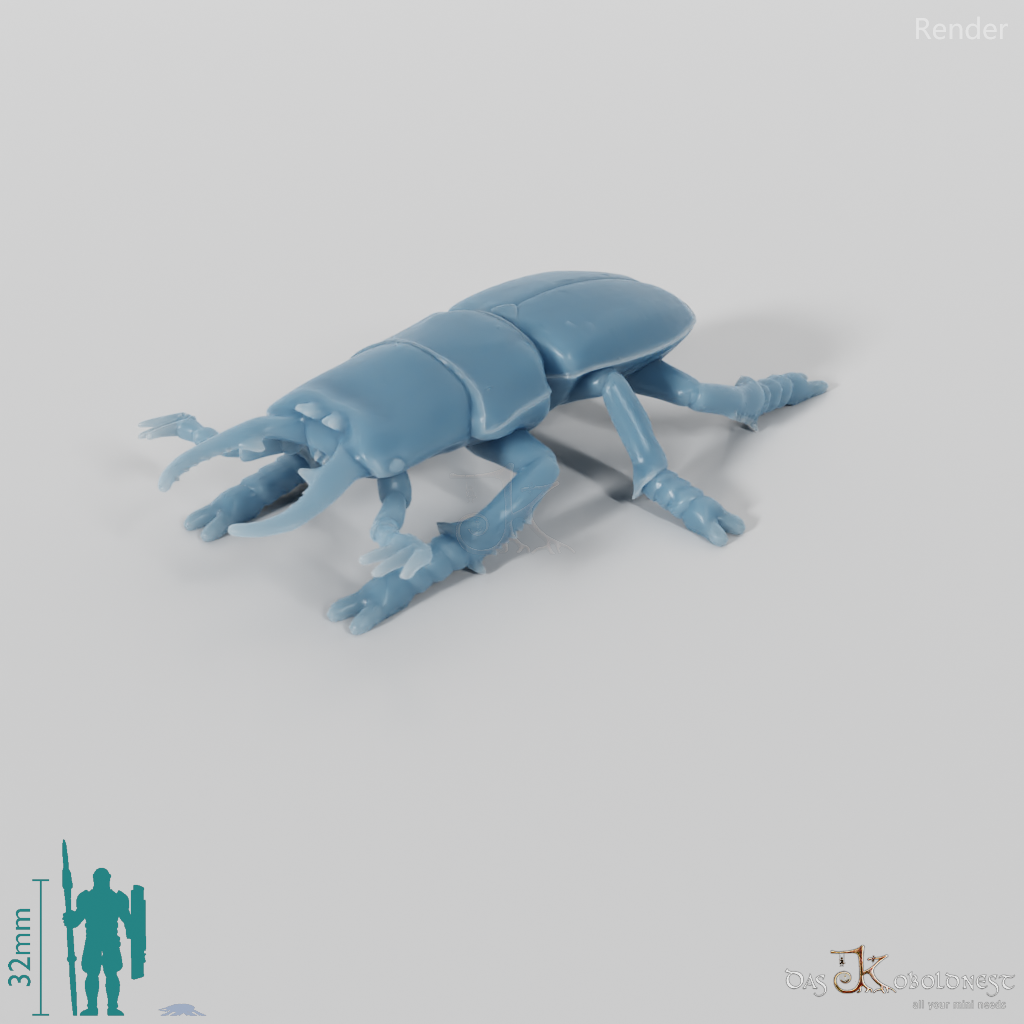 Käfer - Hirschkäfer 01