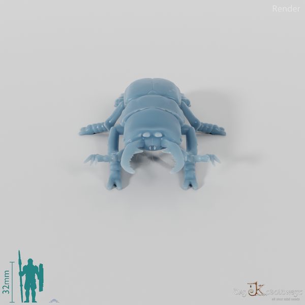 Käfer - Hirschkäfer 01