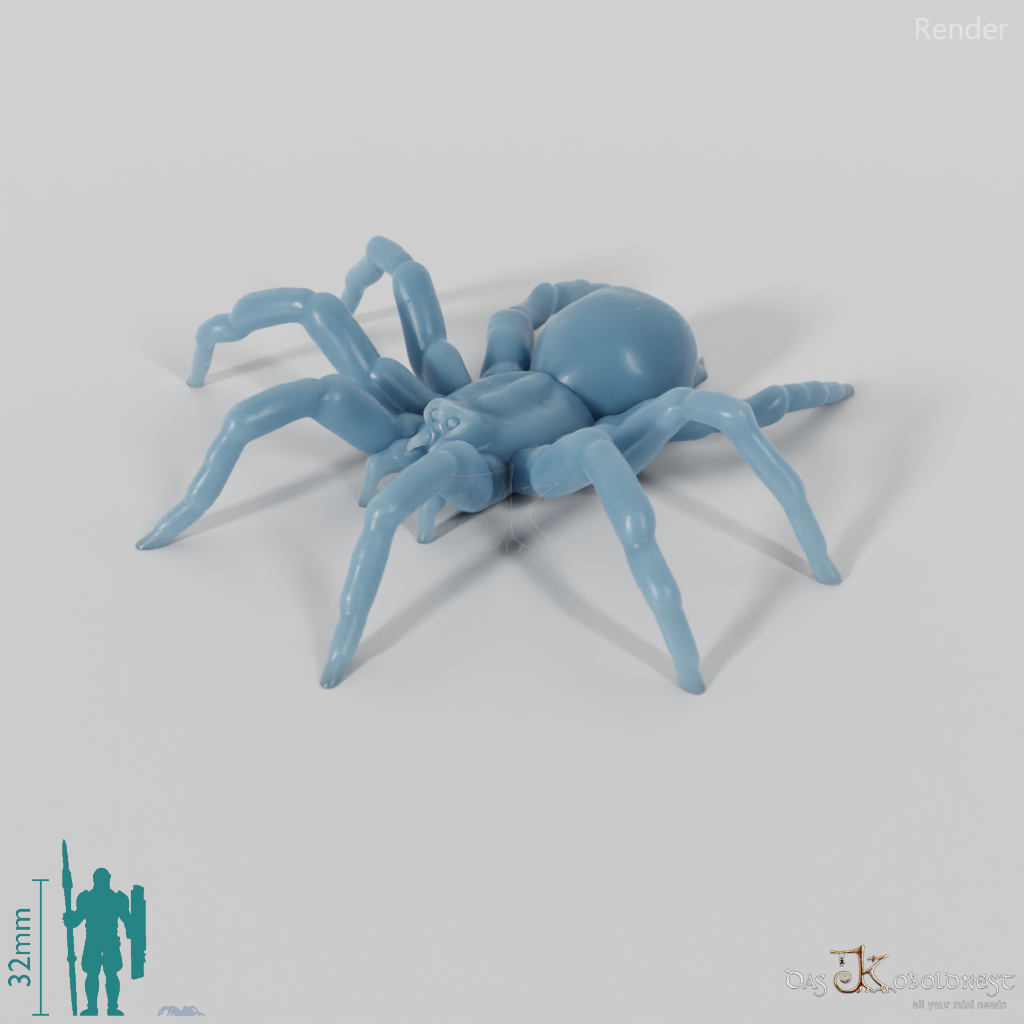 Spinne - Tarantel 01