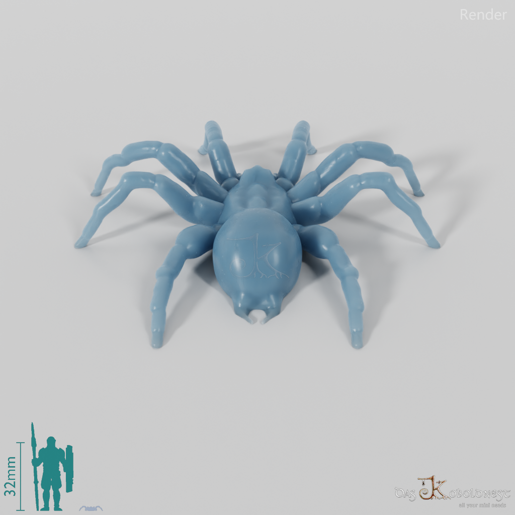 Spinne - Tarantel 01