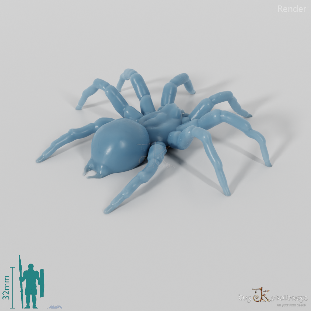 Spinne - Tarantel 01