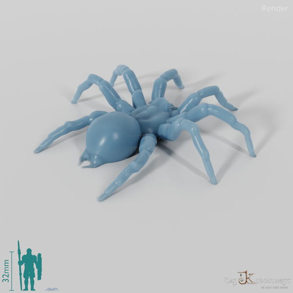 Spinne - Tarantel 01