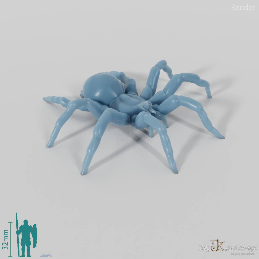 Spinne - Tarantel 01