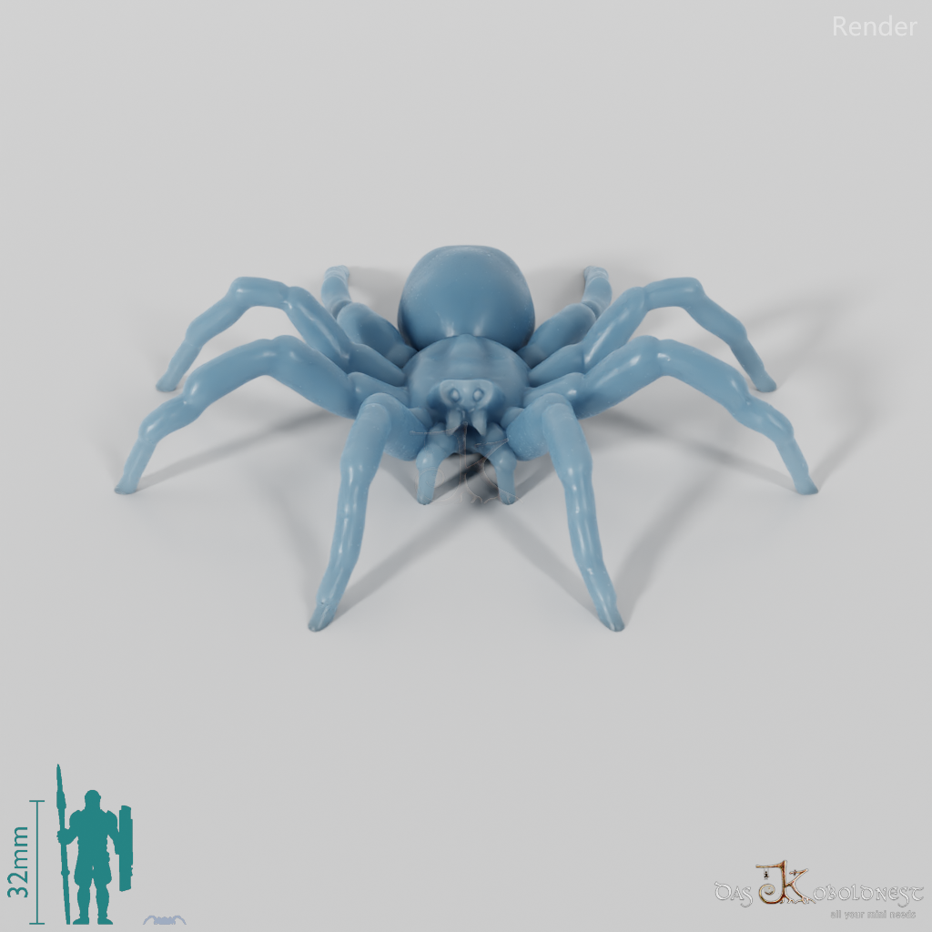 Spinne - Tarantel 01