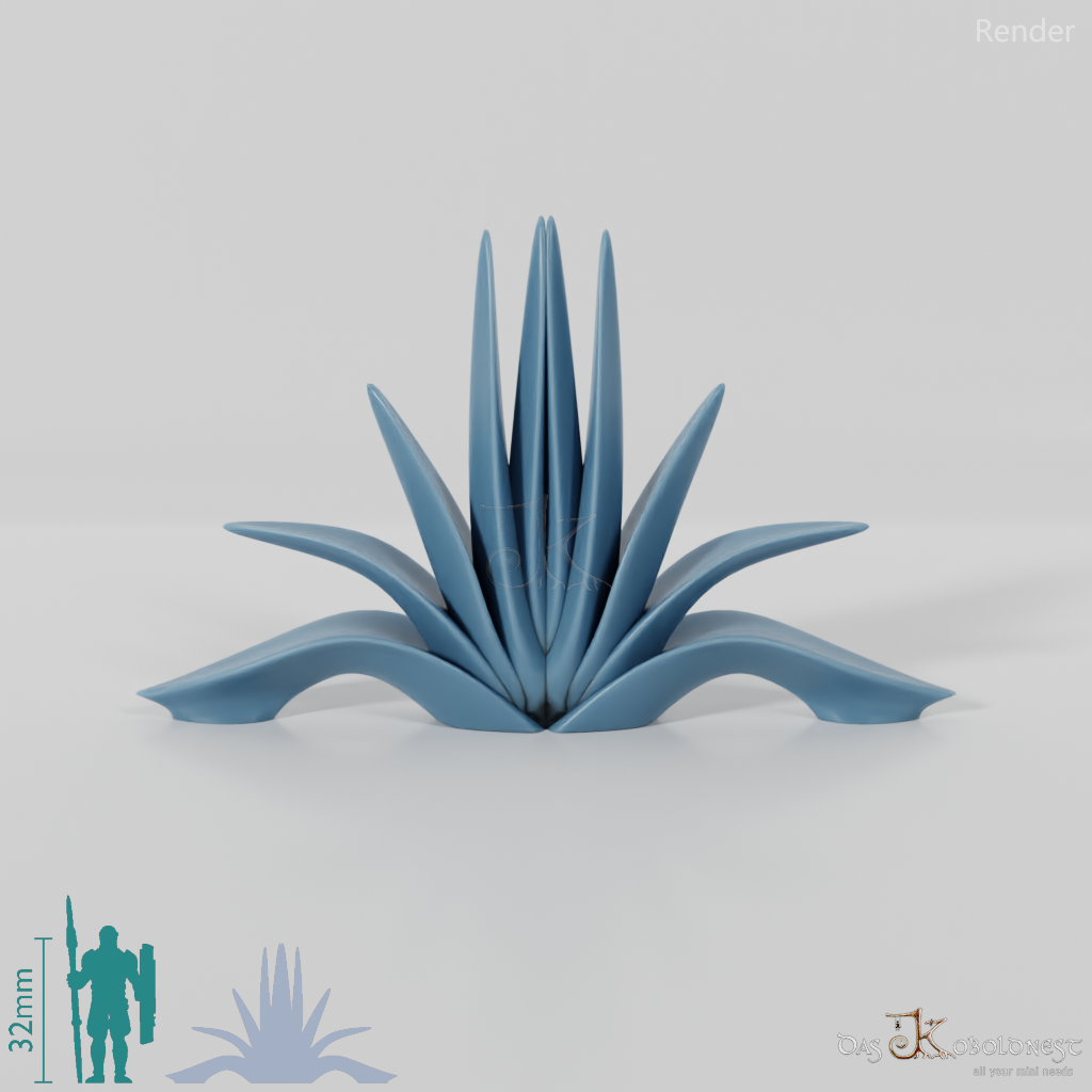 Agave