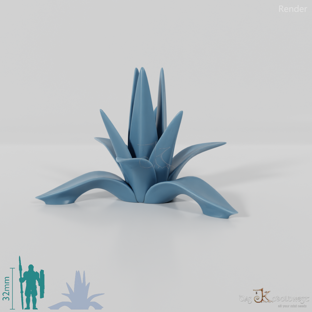 Agave