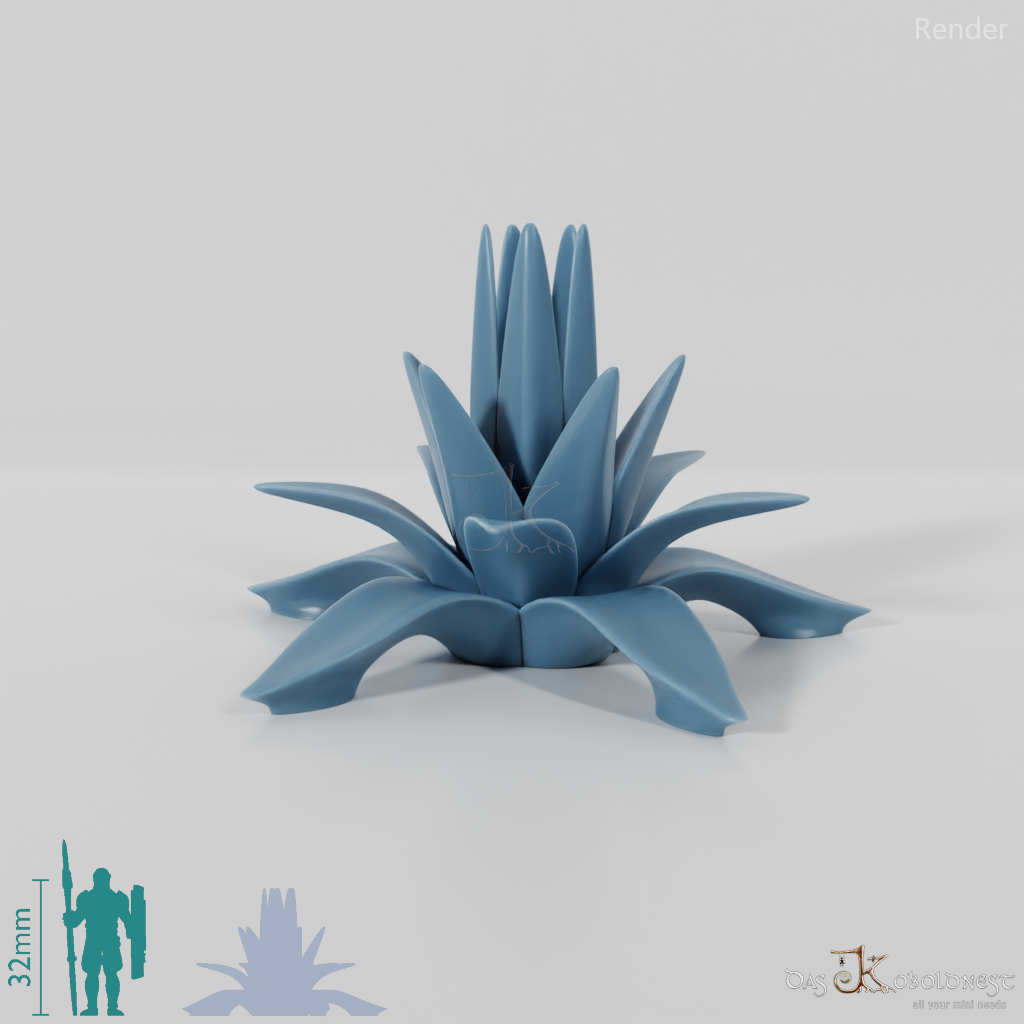 Agave