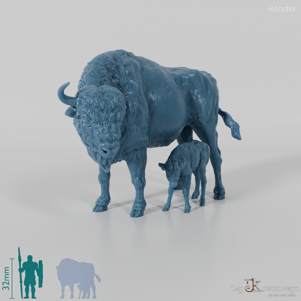 Bison - Europäische Bisons - Kuh und Kalb