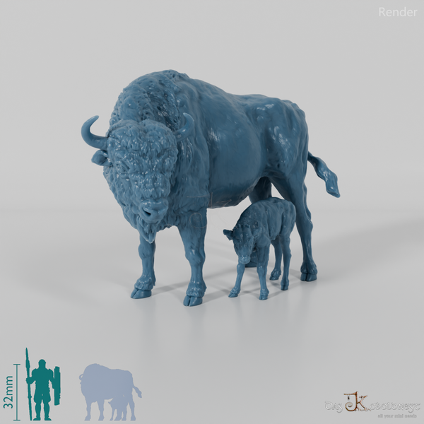 Bison - Europäische Bisons - Kuh und Kalb