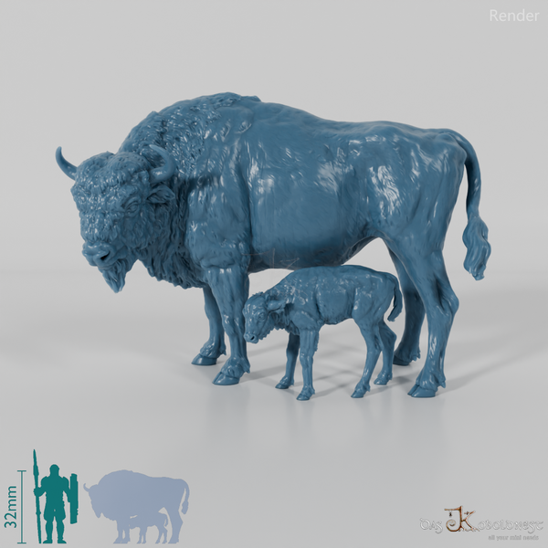 Bison - Europäische Bisons - Kuh und Kalb
