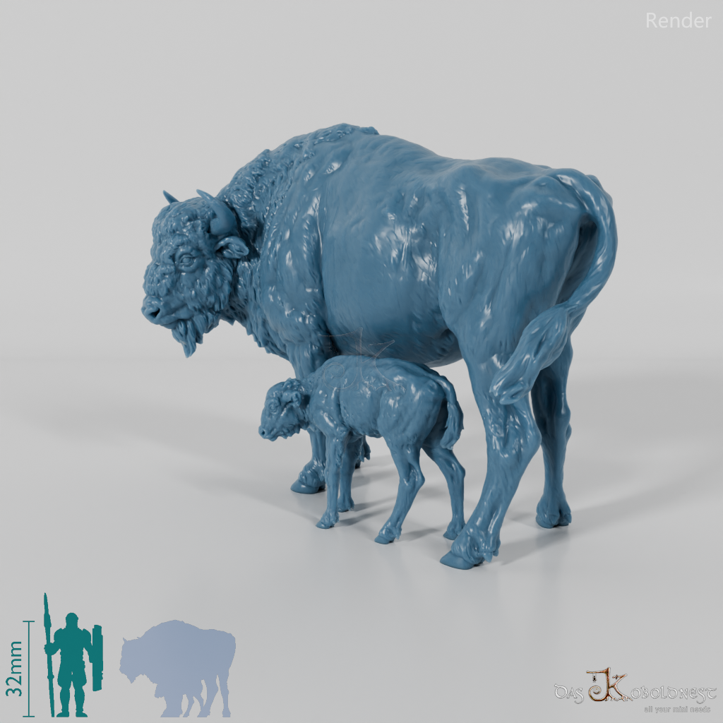 Bison - Europäische Bisons - Kuh und Kalb