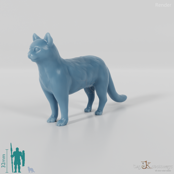 Katze - Hauskatze 02