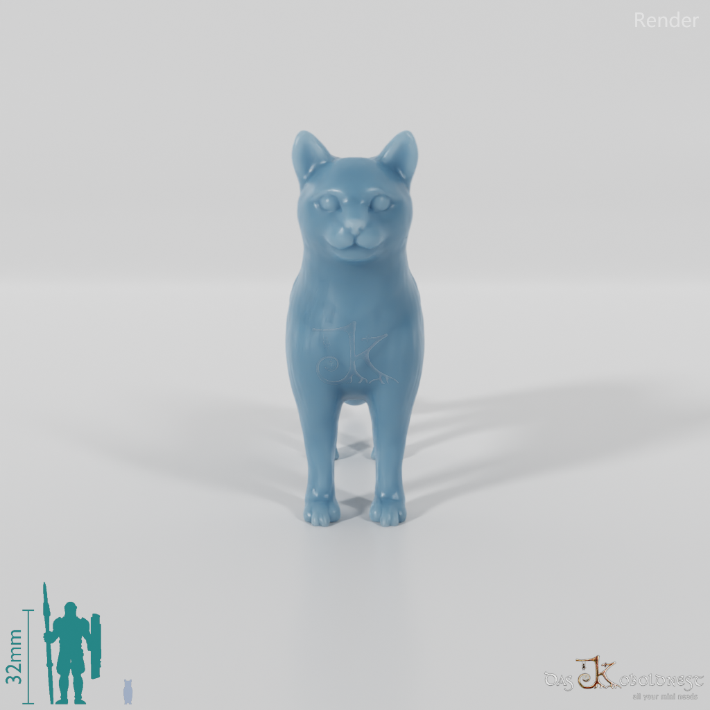 Katze - Hauskatze 02