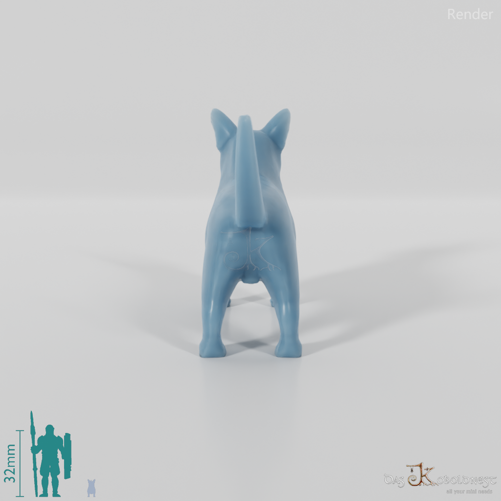 Hund - Corgi 01