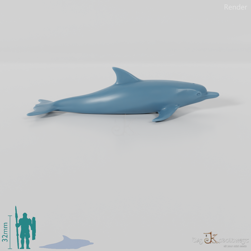 Delfin - Delfin 01