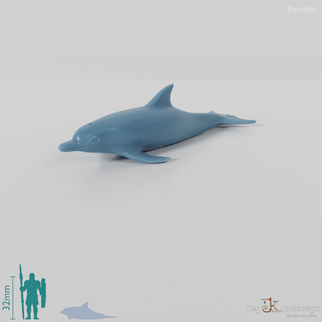 Delfin - Delfin 01