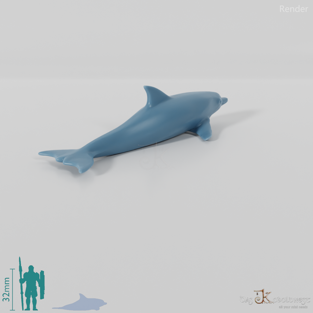 Delfin - Delfin 01