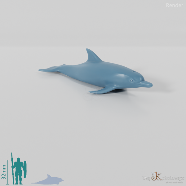Delfin - Delfin 01