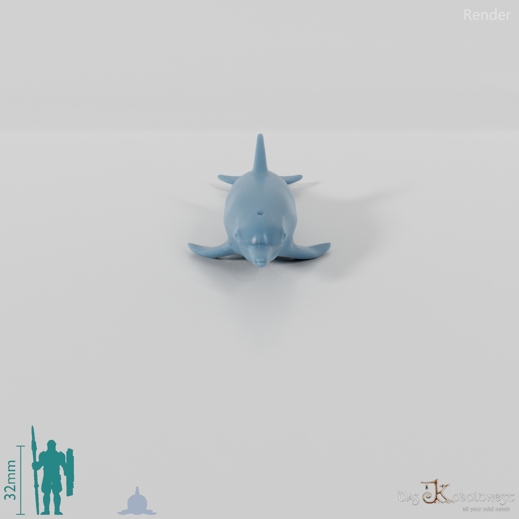 Delfin - Delfin 01