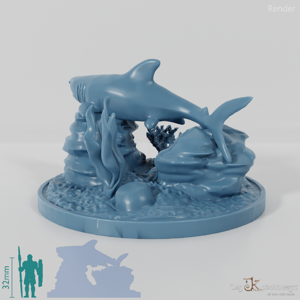 Hai - Weißer Hai in Riff