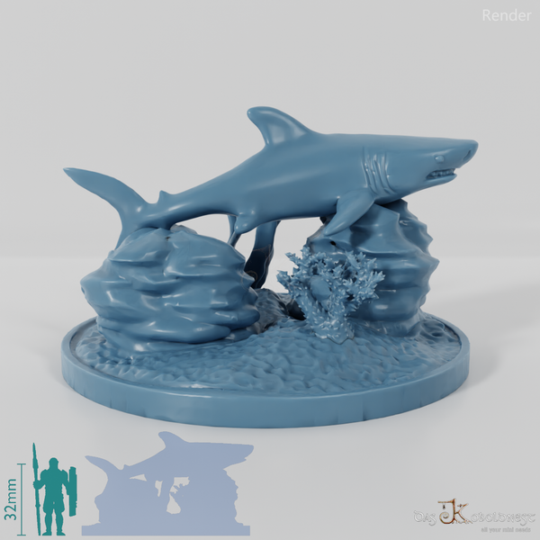 Hai - Weißer Hai in Riff