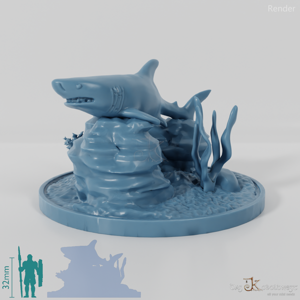 Hai - Weißer Hai in Riff