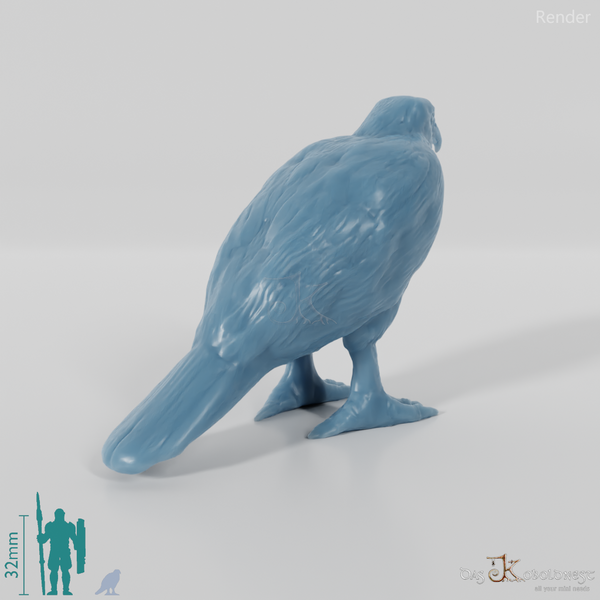 Raubvogel - Sperber 01