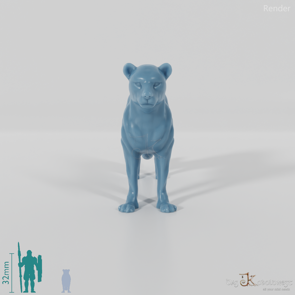 Raubkatze - Leopard 01