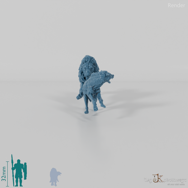 Raubkatze - Löwe auf der Jagd nach Tüpfelhyäne