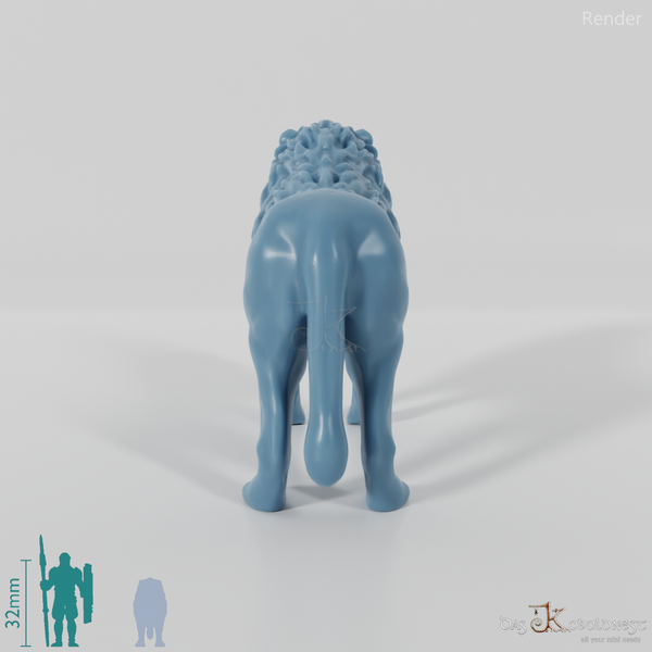 Raubkatze - Löwe 01