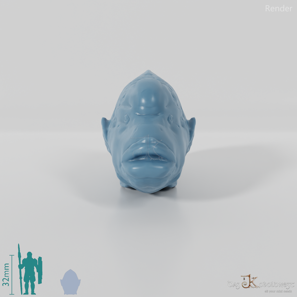 Fisch - Napoleon-Lippfisch 01