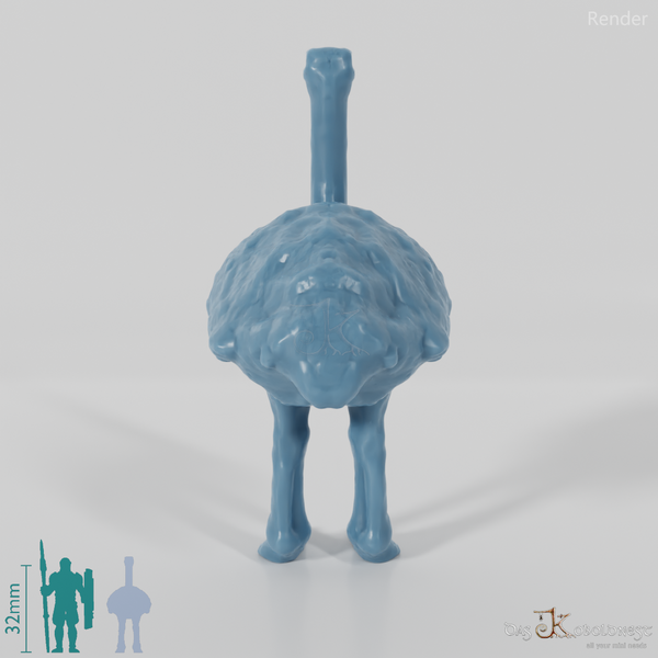 Laufvogel - Strauß 01