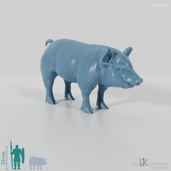 Hausschwein - Schwein 02