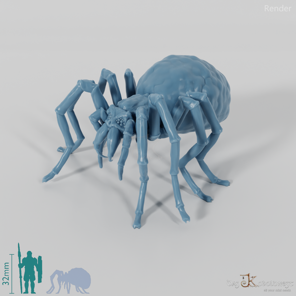 Spinne - Schädelspinne 01