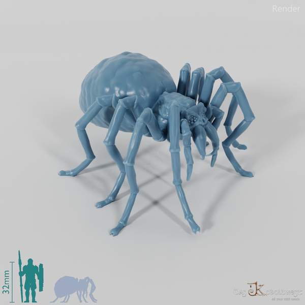 Spinne - Schädelspinne 01