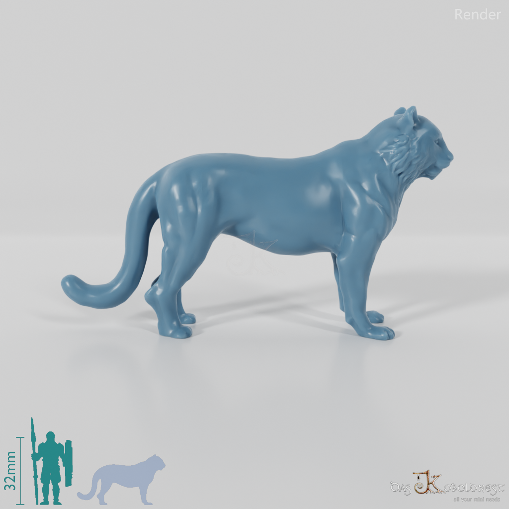 Raubkatze - Tiger 01