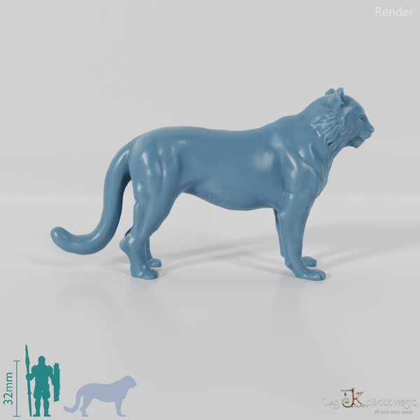 Raubkatze - Tiger 01