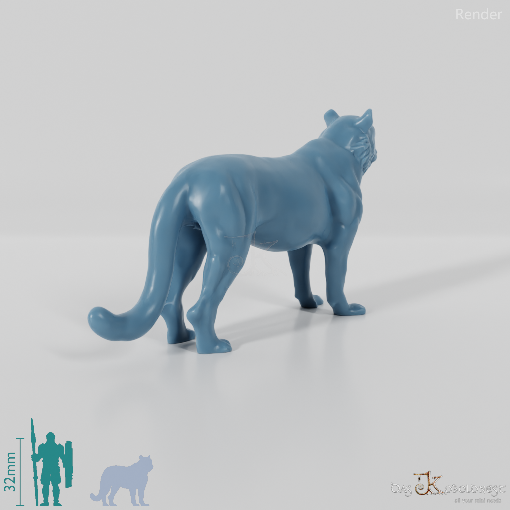 Raubkatze - Tiger 01