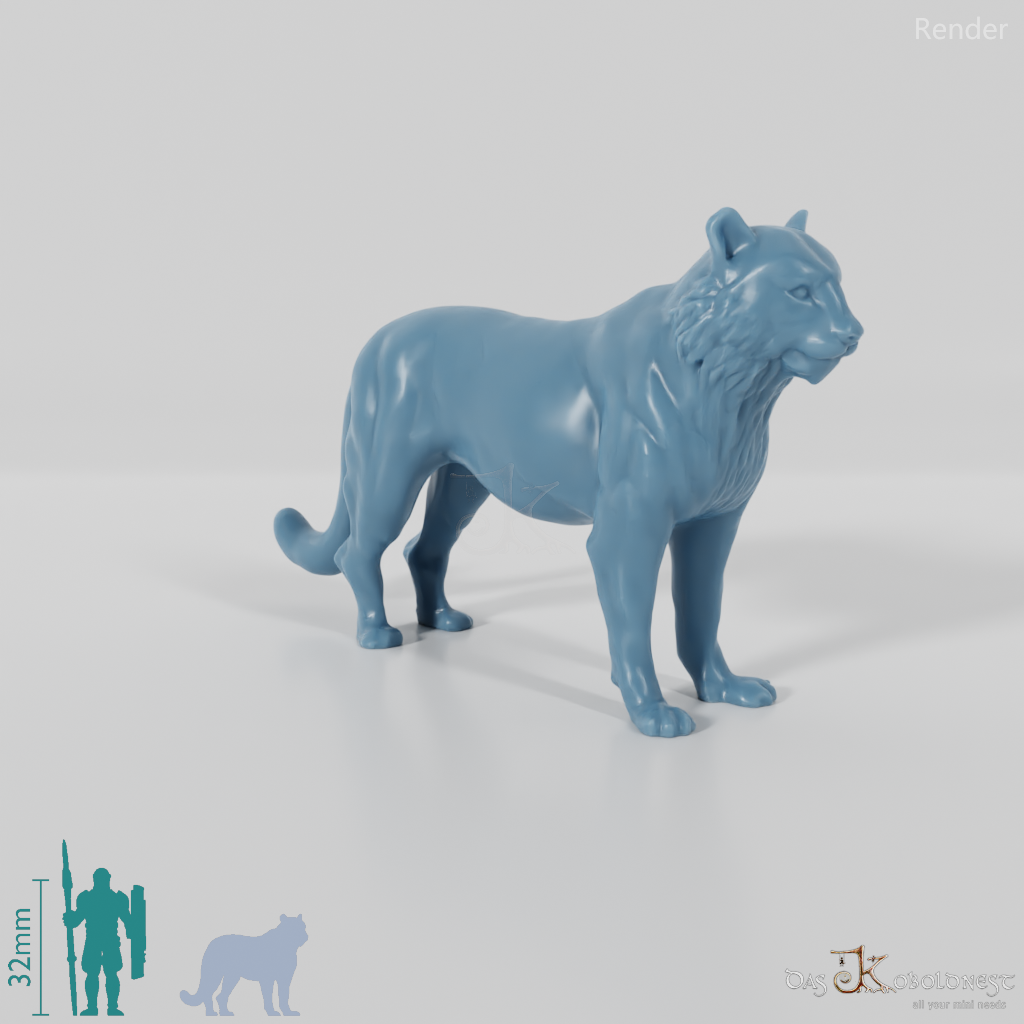 Raubkatze - Tiger 01