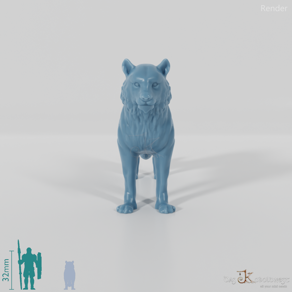 Raubkatze - Tiger 01