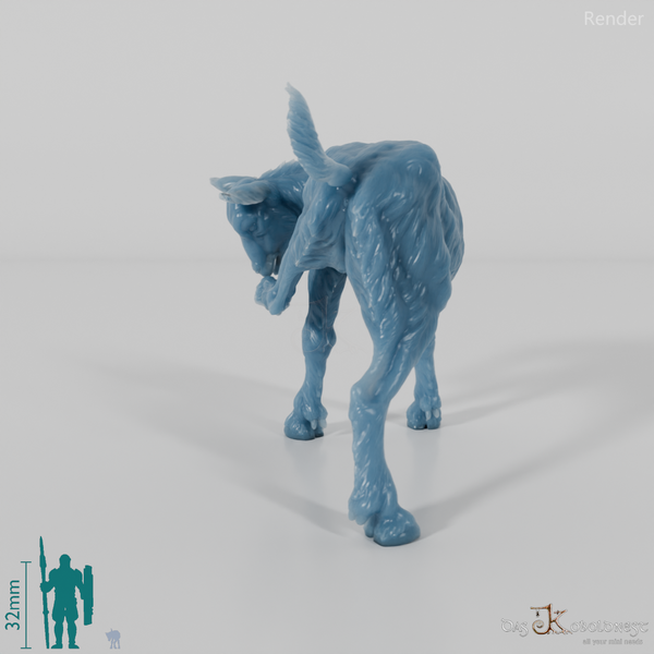 Ziege - Gebirgsziege - Kitz 02