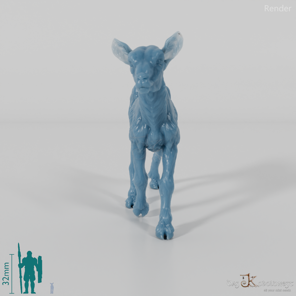 Ziege - Gebirgsziege - Kitz 06