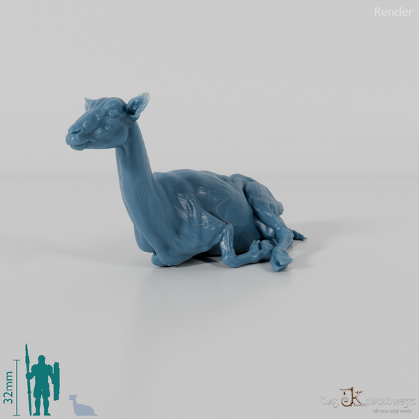 Ziege - Gebirgsziege 04